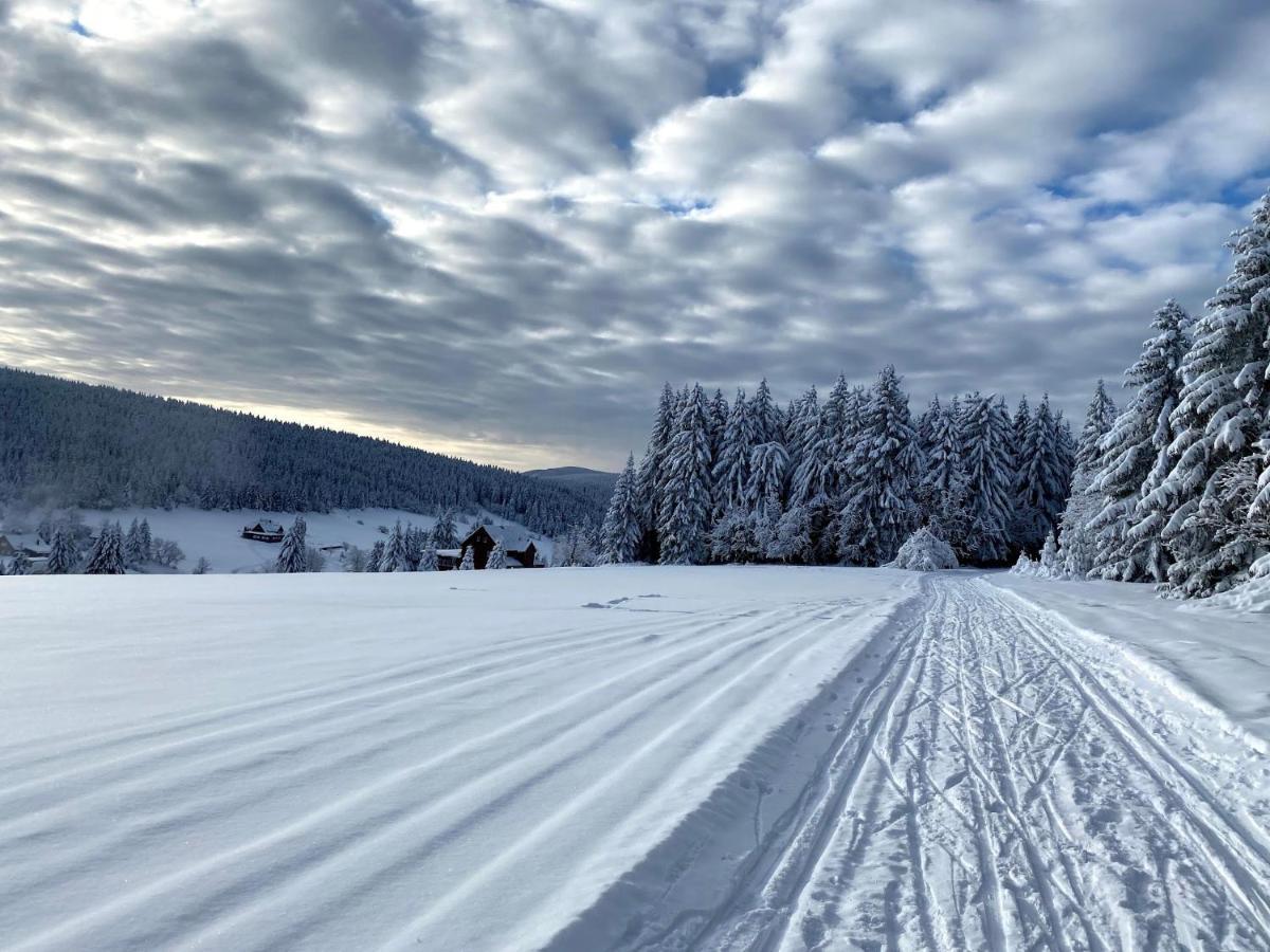 Byt Malá Úpa Horni Mala Upa Exterior foto